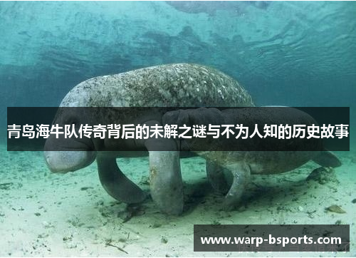 青岛海牛队传奇背后的未解之谜与不为人知的历史故事