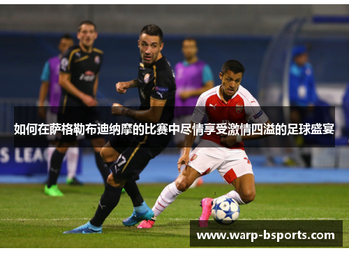 如何在萨格勒布迪纳摩的比赛中尽情享受激情四溢的足球盛宴