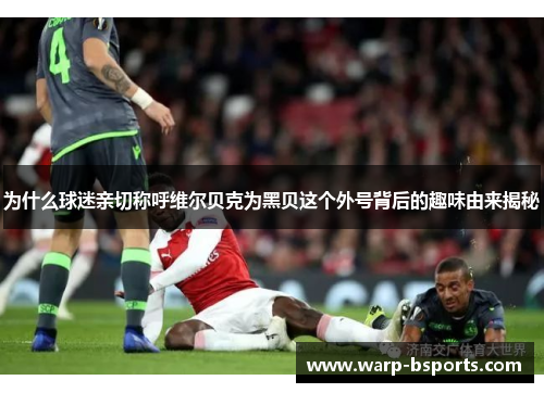 为什么球迷亲切称呼维尔贝克为黑贝这个外号背后的趣味由来揭秘