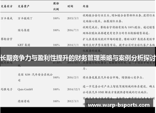 长期竞争力与盈利性提升的财务管理策略与案例分析探讨